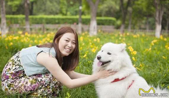 犬护食怎么办？