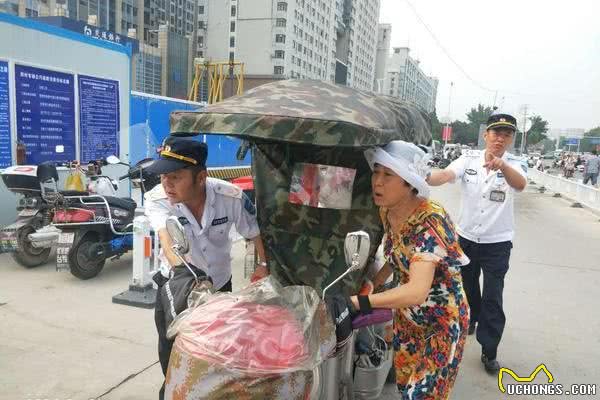 羡慕,这只狗狗出门有专车车上装着5个小风扇为它吹风降温