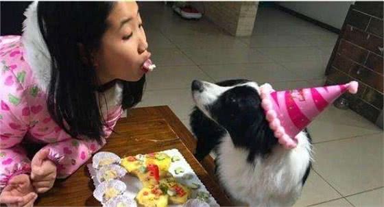 狗狗为什么偏爱吃甜食?究竟狗狗能够吃甜食吗?