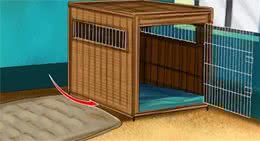 经过这几点，让狗狗晚上乖乖入眠