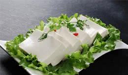 饲养狗狗的禁忌，看完就明白了
