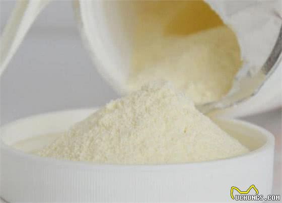 不记得=老年痴呆？其实狗狗老年痴呆，还有这4个症状！