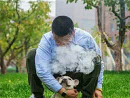 男主人和狗狗的关系有多铁？能坚决陪同在主人身边！