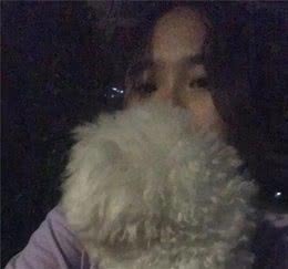 中国式遛狗，其实狗狗也想要沐浴阳光