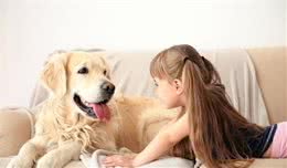 不文明养犬，莫非仅靠道德约束？养犬文明和法律法规要双管齐下