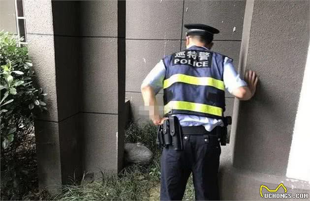 养狗狗要注意这几个问题