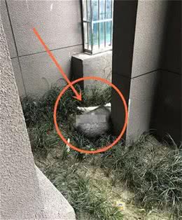 养狗狗要注意这几个问题