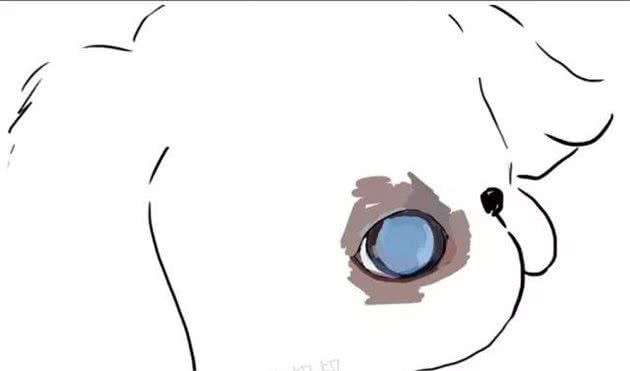 涨姿态·狗狗也会有白内障青光眼之类的眼疾吗?