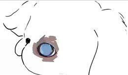 涨姿态·狗狗也会有白内障青光眼之类的眼疾吗？