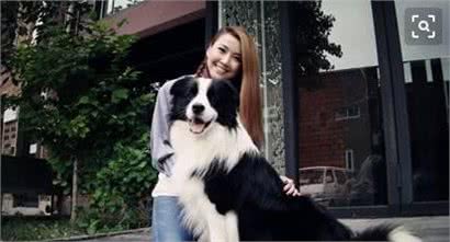 狗狗做这些动作是有事告诉你(狗狗常见动作的含义)