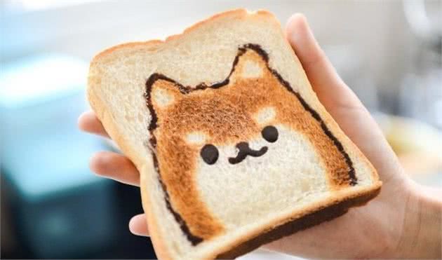 狗狗食物怎么做，自制犬粮方法与配方