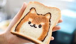 狗狗食物怎么做，自制犬粮方法与配方