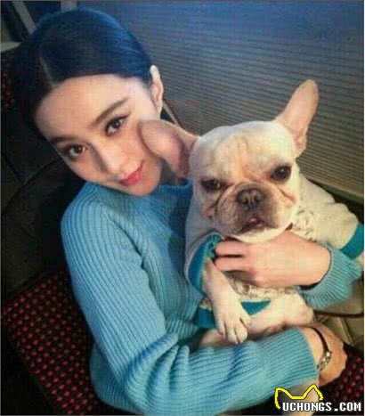 法国斗牛犬是一种神奇的狗，会让养的人爱不释手，越养越上瘾