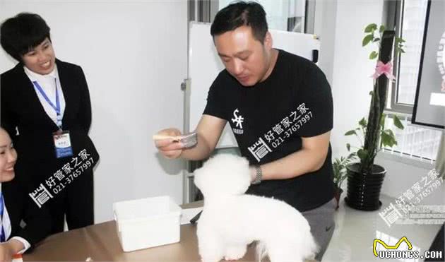 管家支招｜宠物狗的饲养护理美容，你get了吗