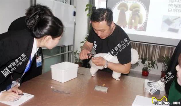 管家支招｜宠物狗的饲养护理美容，你get了吗