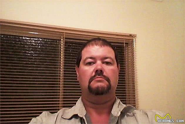 恶狗又伤人！澳洲男为客户修车惨遭2猎犬攻击，手臂被活生生撕掉
