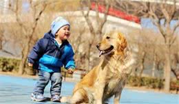 ?家有萌宝养狗需谨慎，适合孩子五个犬种