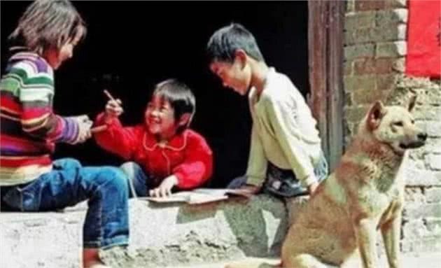 乡村儿时这类狗还记得吗？你们那里叫什么狗？