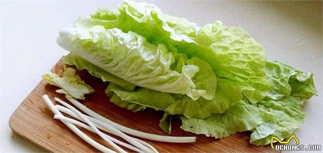最合适狗狗吃的4样餐桌食物，你知道吗？