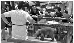 用公共餐具给狗喂食，铲屎官们怎么看待这个问题？