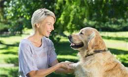 如何训练狗狗让它听话？建立信赖很重要，这几点需要我们记住