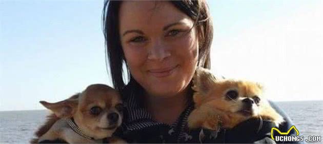 给宠物犬美容：是爱狗还是害狗？你怎么看？