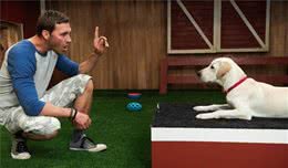 别再用蛮力来惩罚狗了，一张报纸即可以让狗知道自己错在哪