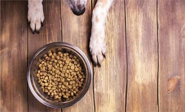 千万别错过哦，性价比超高的犬粮清点