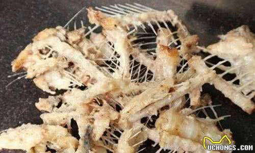 狗狗绝不能吃的6种食物，一吃就出事，你还在投毒吗？