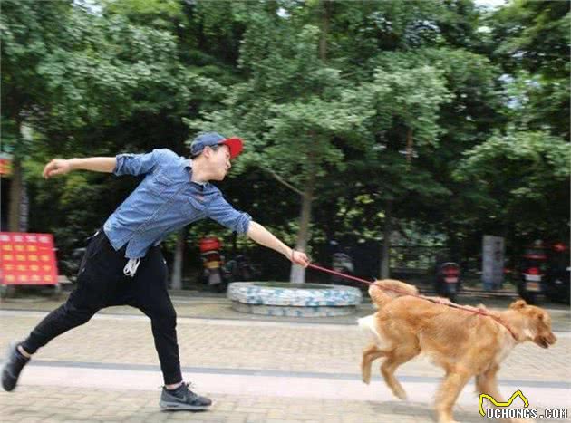 狗狗这5个坏习惯，多是你不知不觉助长的，你中了几个？