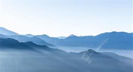 犬的发情期和发情期间行为表现