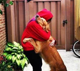 要想狗狗长寿，这6个饲养“好习惯”很重要，看看你做对了吗？