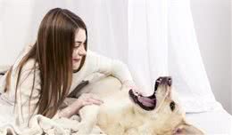 别大意，特别是在冬季，狗狗身上也会存在寄生虫