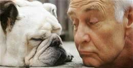 狗狗发生的5种“信号”时，千万要注意，有事要告诉你！