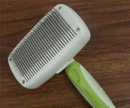 宠物美容常用工具简介