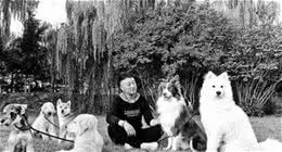 调教宠物犬他很有一套