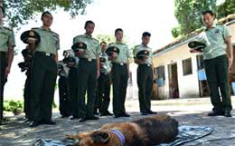 军犬顶着风霜驻守边疆12年，未曾喊过苦累，离世后受众人敬仰