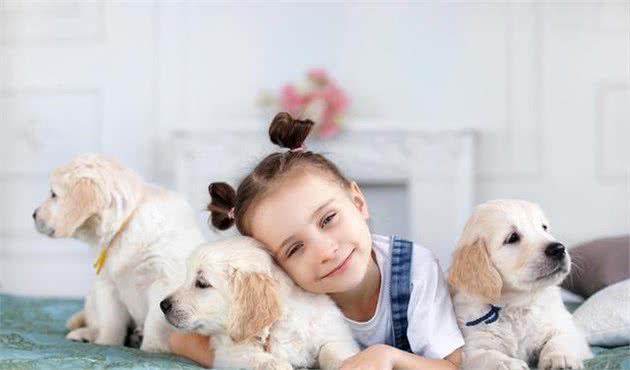 养宠心得：面对异常生产要正确处置，对产后母犬要进行特别护理