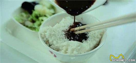 要是你养了狗狗，再疼爱它也不能这样喂食，寿命会减短的！