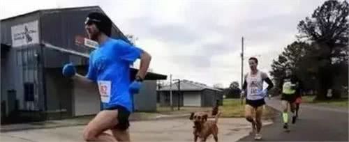 狗狗出门去尿尿，结果它顺道跑了个马拉松！