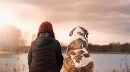 昨天好好的，今天没了？老年犬出现4个表现，主人要有心理豫备