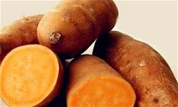 涨姿态，狗狗常吃的6种蔬菜，你知道几种？