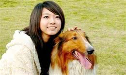 主人“宠溺”狗狗的7种表现，一旦中2种以上，能够说是狗奴了