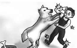 狗狗养护知识·犬护食怎么办？