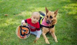 想要和狗狗和谐相处，要特别注意这5点，不然“养不熟”