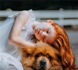 为什么幼犬老是一副吃不饱的样子，如何正确控制幼犬食量