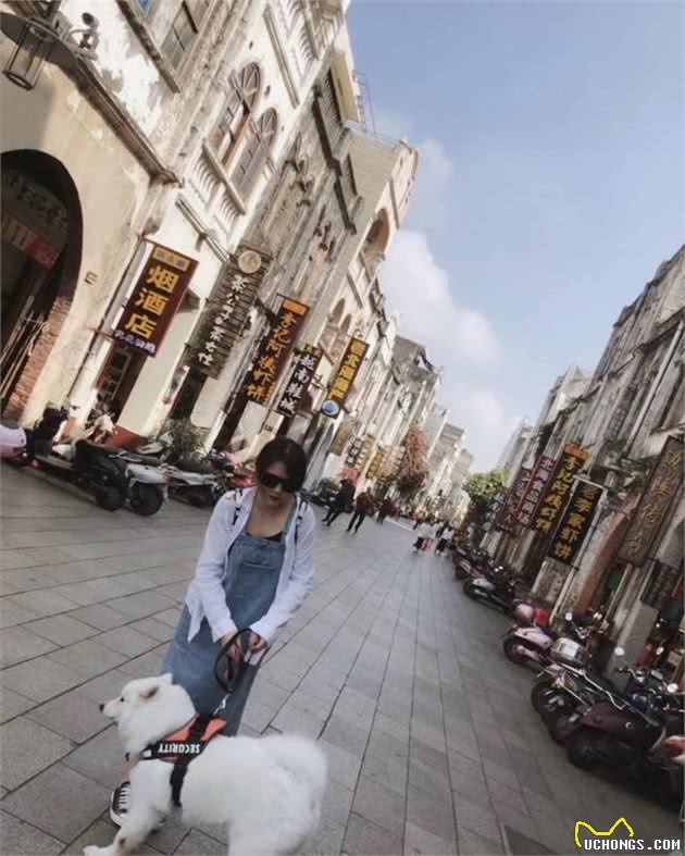 自驾带狗子出门需要注意什么？