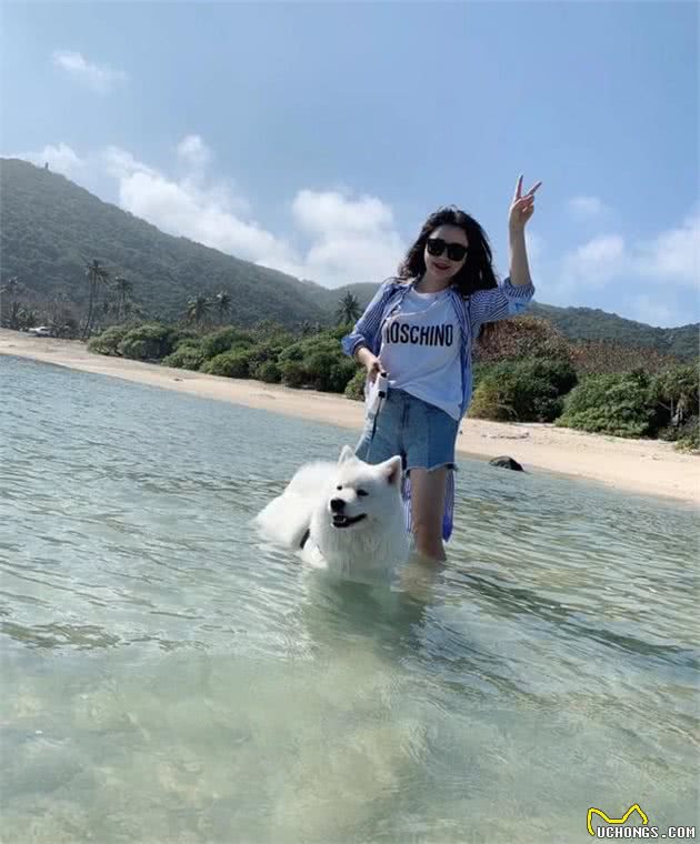 自驾带狗子出门需要注意什么？