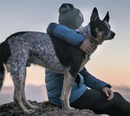 狗狗对人类有着哪些贡献？养狗有哪些好处呢？需要注意什么问题