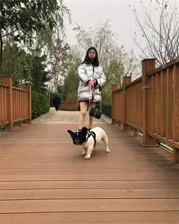 注意：春季狗狗饮食